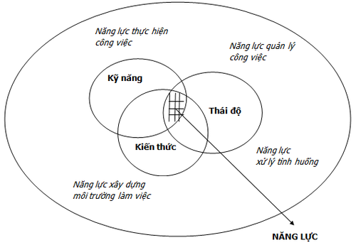 Diem-khac-nhau-giua-dao-tao-tren-the-gioi-va-dao-tao-cua-Viet-Nam-38