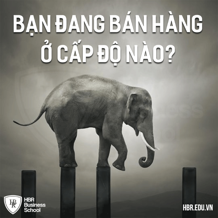 BAN-DANG-BAN-HANG-O-CAP-DO-NAO-12