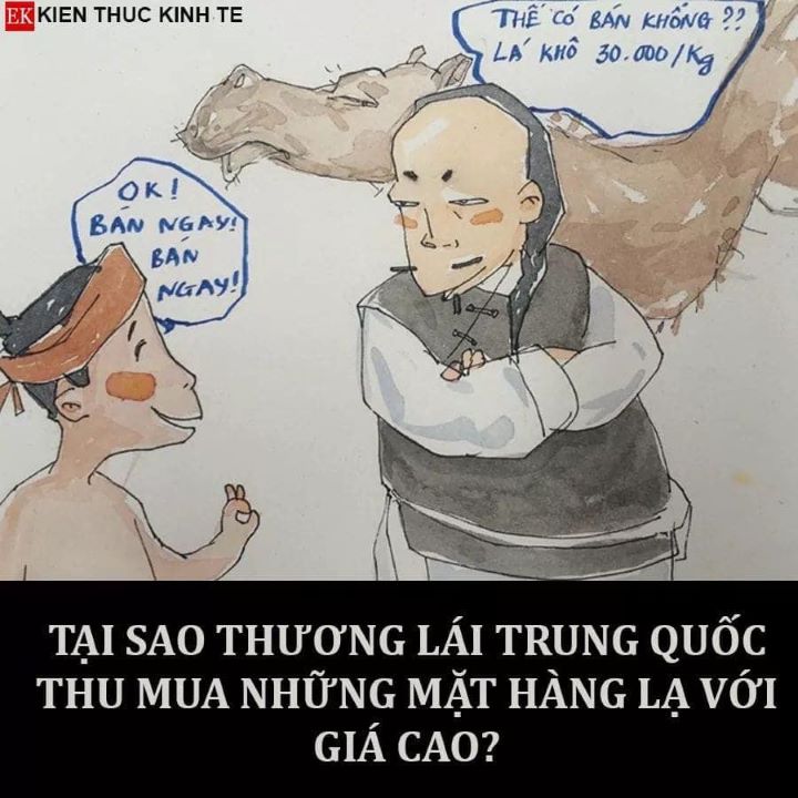 TAI-SAO-THUONG-LAI-TRUNG-QUOC-THU-MUA-NHUNG-MaT-HANG-LA-VOI-GIA-CAO-10